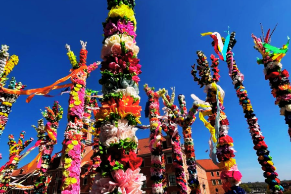 Najpiękniejsze kurpiowskie palmy